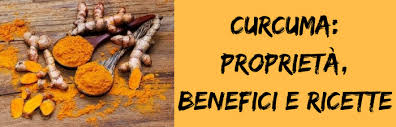 Curcuma zedoaria (zedoary, white turmeric, or temu putih) is a perennial herb and member of the genus curcuma, family zingiberaceae. Colite Intervista Alla Dott Ssa Debora Rasio