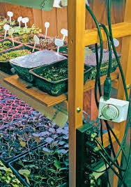 Grow lights provide the energy plants need for growing seedlings or cuttings. Nurture Seedlings On A Tiered Growing Stand Finegardening