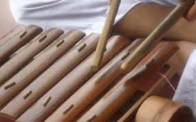 Seperti yang kami sebutkan diawal, alat musik ritmis dibedakan menjadi jenis modern dan jenis tradisional. 9 Alat Musik Tradisional Khas Lampung Gambar Dan Keterangan Mantabz