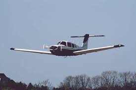 Image result for Piper