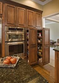 kitchen pantry cabinet ideas pull out