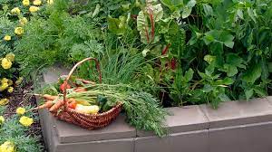 We did not find results for: High Value Produce For Square Foot Gardens Garden Gate