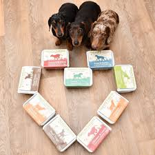 How To Transition Your Dog To A Raw Diet