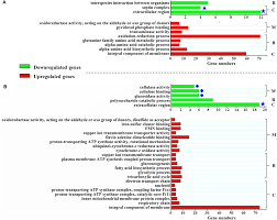 Frontiers The Indispensable Role Of Histone