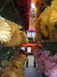 R & w wholesale flowers birmingham sihtnumber 35203. 5 Great Local Flower Shops In Birmingham And Hoover Alabama Gardening Channel