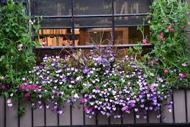 Still Spring Dirt Simple Hanging Garden Garden Deco Garden Works