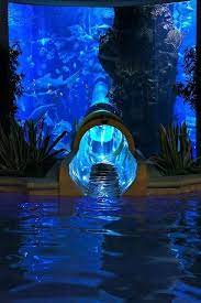 Shark Reef Aquarium At Mandalay Bay Hotel Las Vegas Usa Places To Travel Vacation Spots Places To Visit