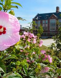 HONOR ROLL OF 2019-2020