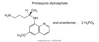 Image result for Primaquine