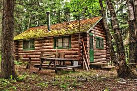 We did not find results for: Crested Butte Cabins And Outback Lodging Pioneer Guest Cabins Crested Butte Real Estate Chris Kopf