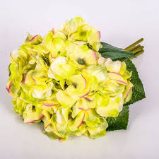 #ortensia #foto mia #giardino #semplicità #ortensie #fiori #flowers #hydrengea #garden #italy #italian garden #italian flowers #tuscany #florence. Bouquet D Ortensie Ornamnetali Klara Giallo Verde 30cm O 18cm Artplants Mazzi Di Fiori Artificiali