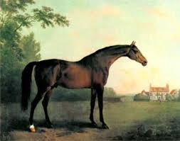 Sir archy montorio horse rating and status. Highflyer Horse Wikipedia