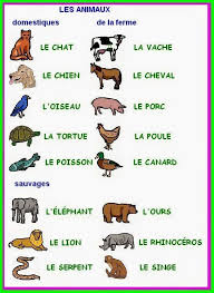 Pin On Ecole