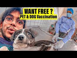 Maybe you would like to learn more about one of these? 1st Pet Veterinary Centers P Scholarship Suggested Addresses For Scholarship Details Scholarshipy