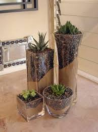 Haworthia Arrangement Jpg 438 584 Pixels Plants Outdoor Cactus Garden Planting Succulents