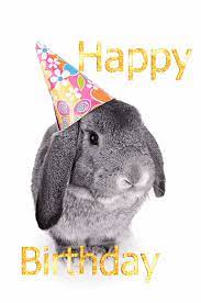 Birthday Bunny Via Giphy Happy Birthday Bunny Happy Birthday Animals Happy Birthday Meme