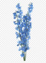 Sky Blue Flower Png Transparent Png Vhv