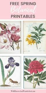 Here Are Some Free In 2020 Flower Printables Free Vintage Flower Prints Flower Printable