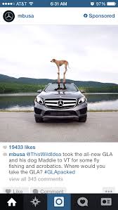 Mercedes Targets Millennials With Instagram Influencers And Sponsored Ads We Love Maddie The Dog So This Makes Perfect Sens Sell Car Mercedes Benz Instagram
