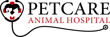 We owe you more than you know and thank you so much for all that you have done and will do for our furry family, and for me and my husband. Veterinarian Near Me Contact Us Pet Care Animal Hospital