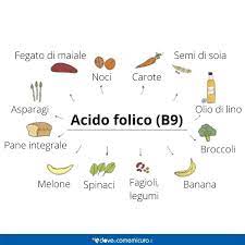 Facciamo adesso un elenco di cibi ricchi di acido folico: Vitamina B9 Acido Folico Alimenti E Sintomi Da Carenza