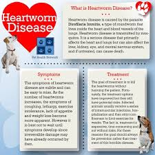Bird And Pet Clinic Of Roseville Heartworm Disease Heartworm Disease Heartworm Heartworm Awareness