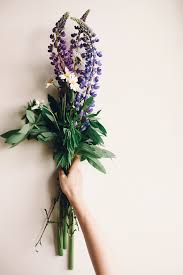 Maybe you would like to learn more about one of these? A Lovely Bouquet Of Lupine And Chamomile Lupine Flowers Flowers Photography Lupines