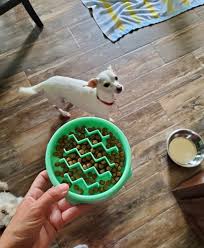 Slow feeder bowls are dog food bowls that have a bunch of obstructions built into them. 37 Pet Products From Amazon That Must Have Been Designed By Geniuses