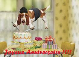 Retrouvez des créations originales de cartes d'invitation d'anniversaire à imprimer. Carte Anniversaire Simple Chiens Dogs Simple Birthday Cards