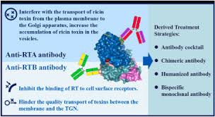 Image result for Ricin