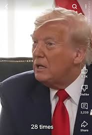 Okay Y'all, let's analyze this power dynamic disaster in the making, shall  we? The composition of this photo is a perfect visual power shift caught in  real time. Musk is positioned in