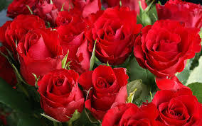 Con interflora puoi regalare fiori e regali e inviare a domicilio, in italia e all'estero. Come Far Durare Le Rose