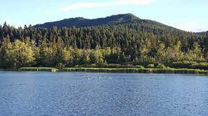 9, alberta, canada that features beautiful wild flowers and is rated as moderate. Beauvais Lake Provincial Park Bewertungen Fotos Pincher Creek Alberta Tripadvisor