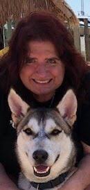 Penny Hubbard (@Penny4pets)