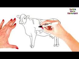 How To Draw A Cow Step By Step Cow Drawing Easy Super Easy Drawing T Cow Drawing Super Easy Drawings Cow Drawing Easy