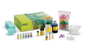 A dna fingerprinting is a dna pattern that has a unique sequence such that it can be distinguished from the dna pattern of other individuals. Forensic Dna Fingerprinting Kit Life Science Education Bio Rad