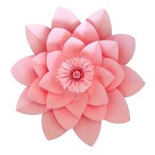 We did not find results for: Catalogo De Flores Gigantes Flores De Papel