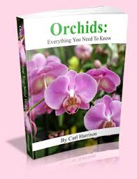 Get deals with coupon and discount code! Where To Find Cheap Orchids The Orchid Resource