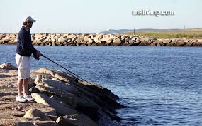 The ride out to fishing is about an hour but it is very scenic with plenty of birds, ducks, porpoises and harbor seal. Maine Saltwater Fishing Guides Rules Regulations Licenses Me Living Magazine Maine Vacations Lodging Dining Living