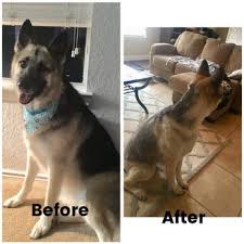 Maybe you would like to learn more about one of these? Happy Scrappy Mobile Pet Grooming 70 Photos 29 Reviews Pet Groomers San Antonio Tx Phone Number