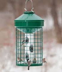 Duncraft Com Avian Bird Feeder Bird Feeders Best Bird Feeders Squirrel Proof Bird Feeders