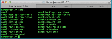 To allow messages to move across a network to a remote consumer, it is possible to connect them together. Listing Camel Contexts In Karaf Apache Karaf Cookbook