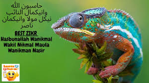 Check spelling or type a new query. Ø­Ø§Ø³Ø¨ÙˆÙ† Ø§Ù„Ù„Ù‡ ÙˆØ§Ù†ÙŠÙƒÙ…Ø§Ù„ Ø§Ù„Ù†Ø§Ø¦Ø¨ Ù†ÙŠÙƒÙ„ Ù…ÙˆÙ„Ø§ ÙˆØ§Ù†ÙŠÙƒÙ…Ø§Ù† Ù†Ø§ØµØ±hasbunallah Wanikmal Wakil Nikmal Maula Wanikman Youtube