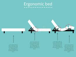 Martinas pflegemaßnahmen findet die pdl dagegen zu kurz und nicht handlungsleitend. Ergonomisches Bett 1 Vektor Abbildung Illustration Von Schlafzimmer 49693360