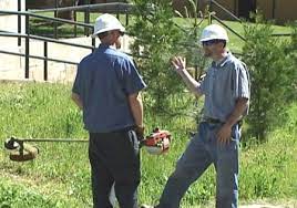 The only real drawbacks are the finicky safety trigger and the fact that the spools can get rather. String Trimmer Safety Video Communications