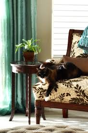 Still others acknowledge this legacy of the term, but question. 42 Things In Your Master Bedroom Toot Sweet 4 Two