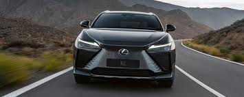 Image result for Black Onyx 2023 RZ