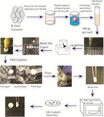 Silk Reservoirs For Local Delivery Of Cisplatin For Neuroblastoma Treatment In Vitro And In Vivo Evaluations Journal Of Pharmaceutical Sciences