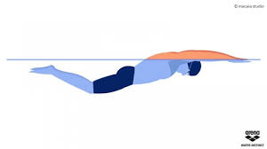 Arena Swimsuits Competition Swimwear Activewear Butterfly Swimming Butterfly Stroke Swimming Swim Technique