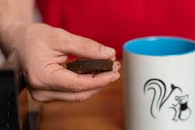 Delonghi esam3300 review about the best coffee machine and basic brewing features of the machine include the product quality and essential features of the coffee maker. Delonghi Magnifica Onkalken De Complete Handleiding 2021